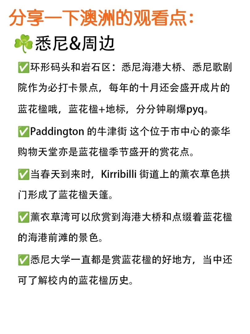 又到了澳洲藍花楹的爆發季，快來拍美照吧！