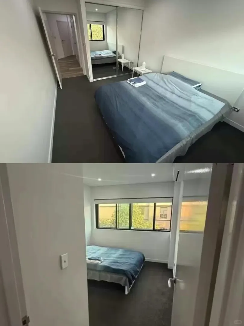Sydney City 一房一衛的好找嘛？