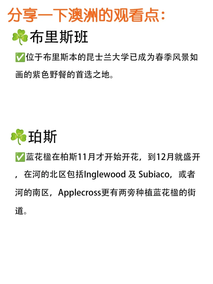 又到了澳洲藍花楹的爆發季，快來拍美照吧！