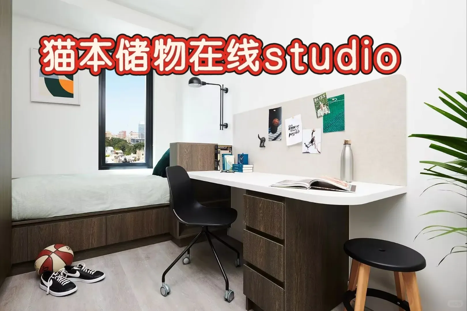 貓本儲物在線的medium studio 51X拿下