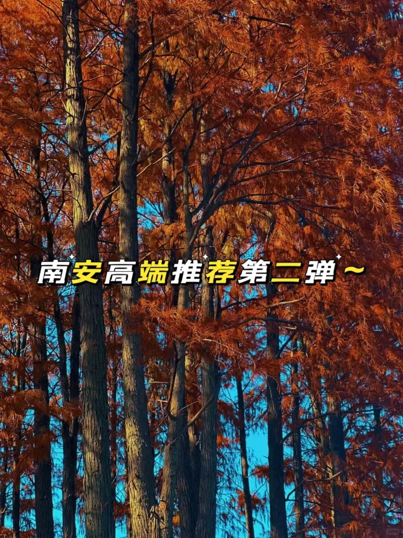 南安CBD的奢華 