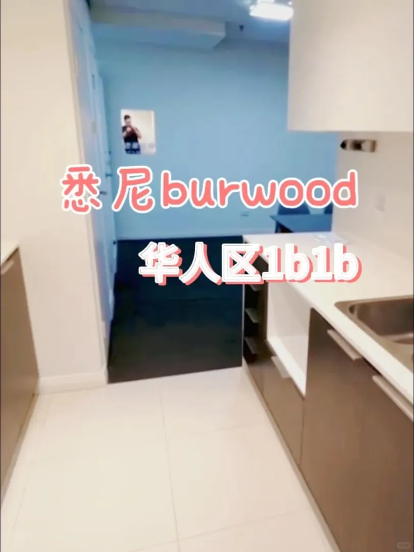 雪梨租房｜轉Burwood view 👌的1b1b