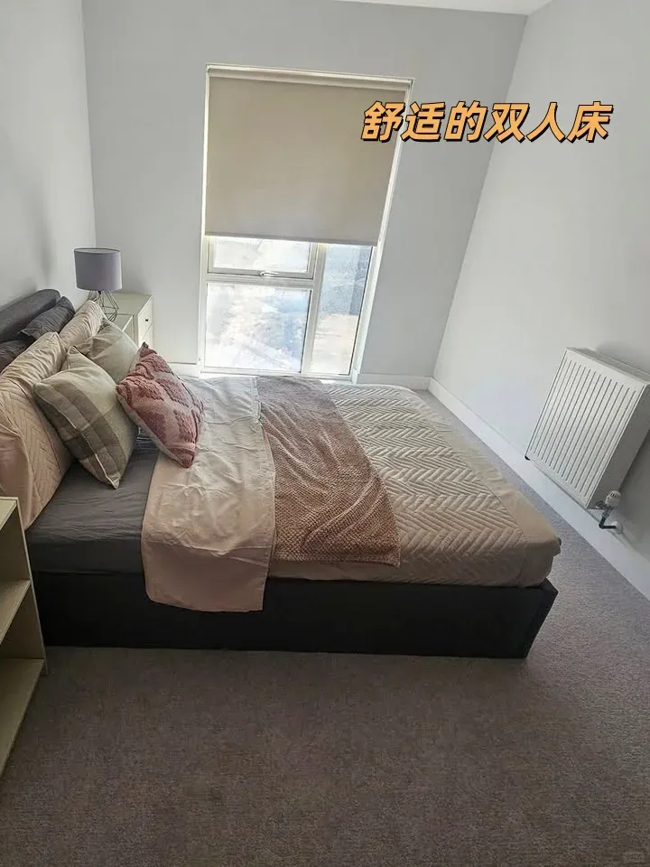 倫敦2月轉租ucl步行+大落地窗1b