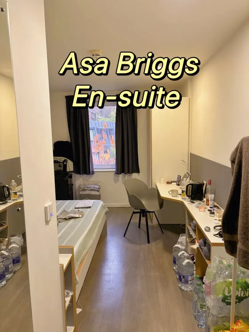 這就是利茲Asa Briggs嗎🤯，太好住了