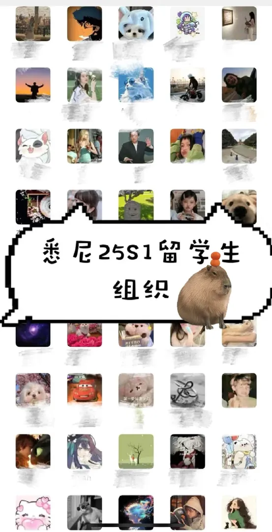 🇦🇺25S1的新生們有找到組織嘛？