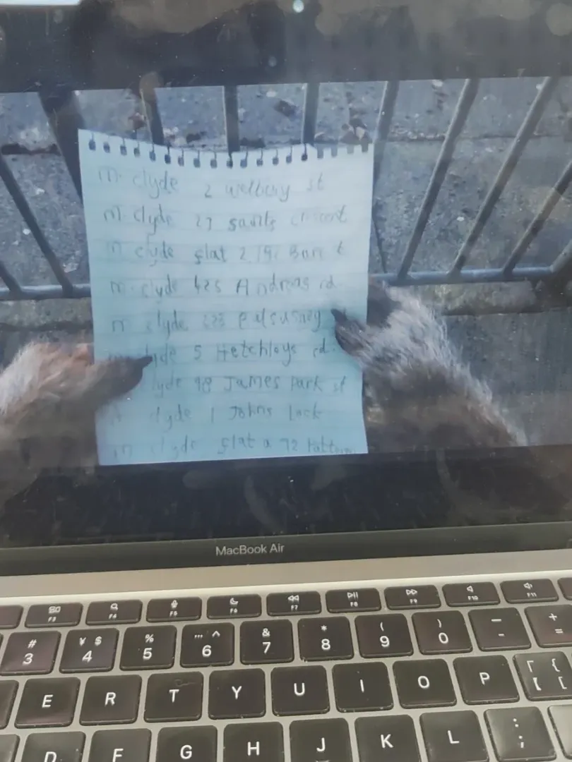 嗚嗚嗚帕丁頓熊太讓人憐愛了