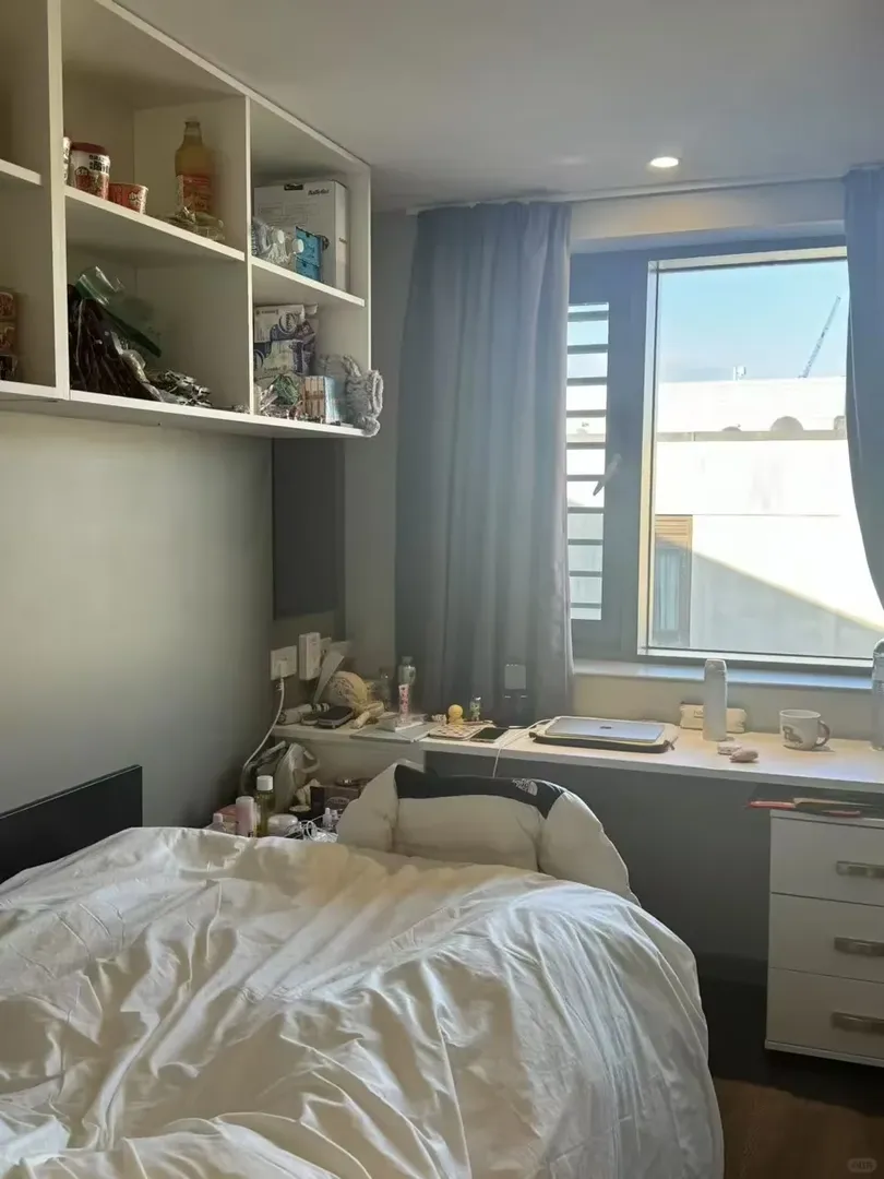 紐卡斯爾｜享受明媚陽光