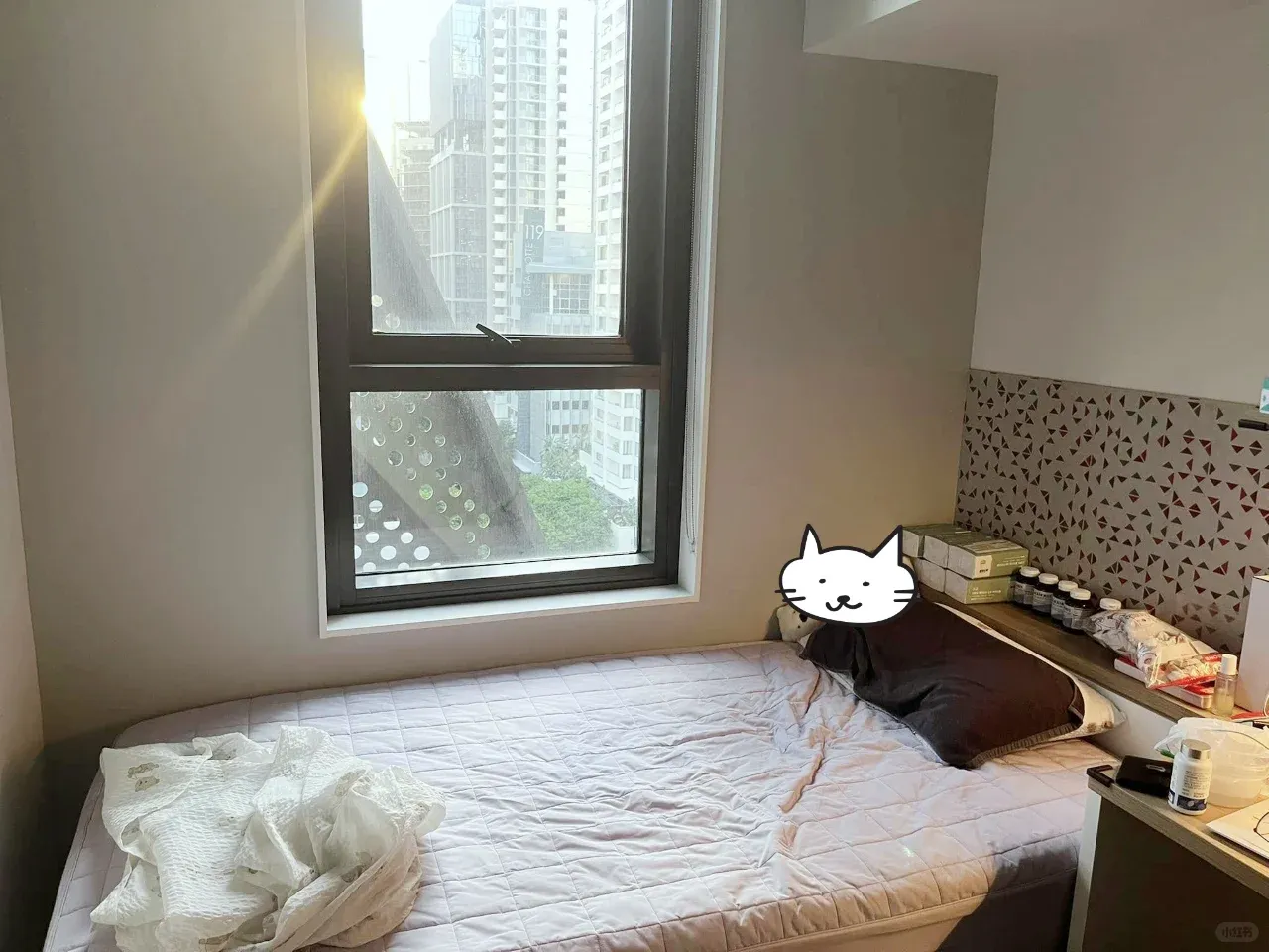 在布里斯班拼室友，3xx包水電網你來不來？