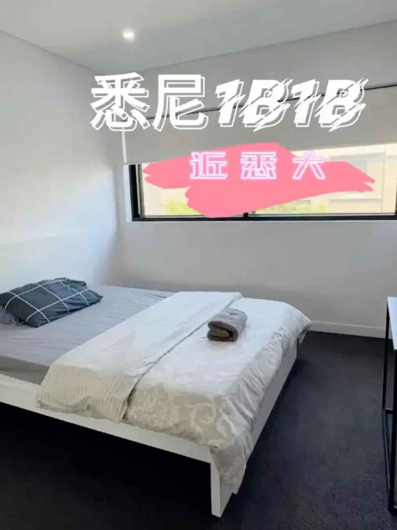 步行可到悉大的ultimo1b1b~