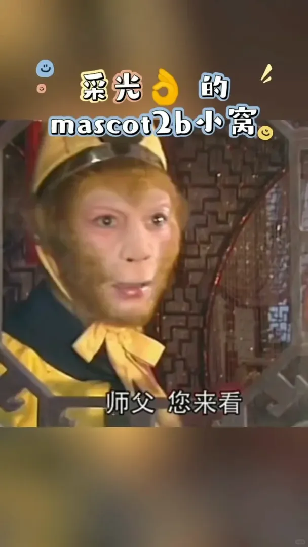 採光👌的mascot2⃣️b蹲蹲室友寶子～