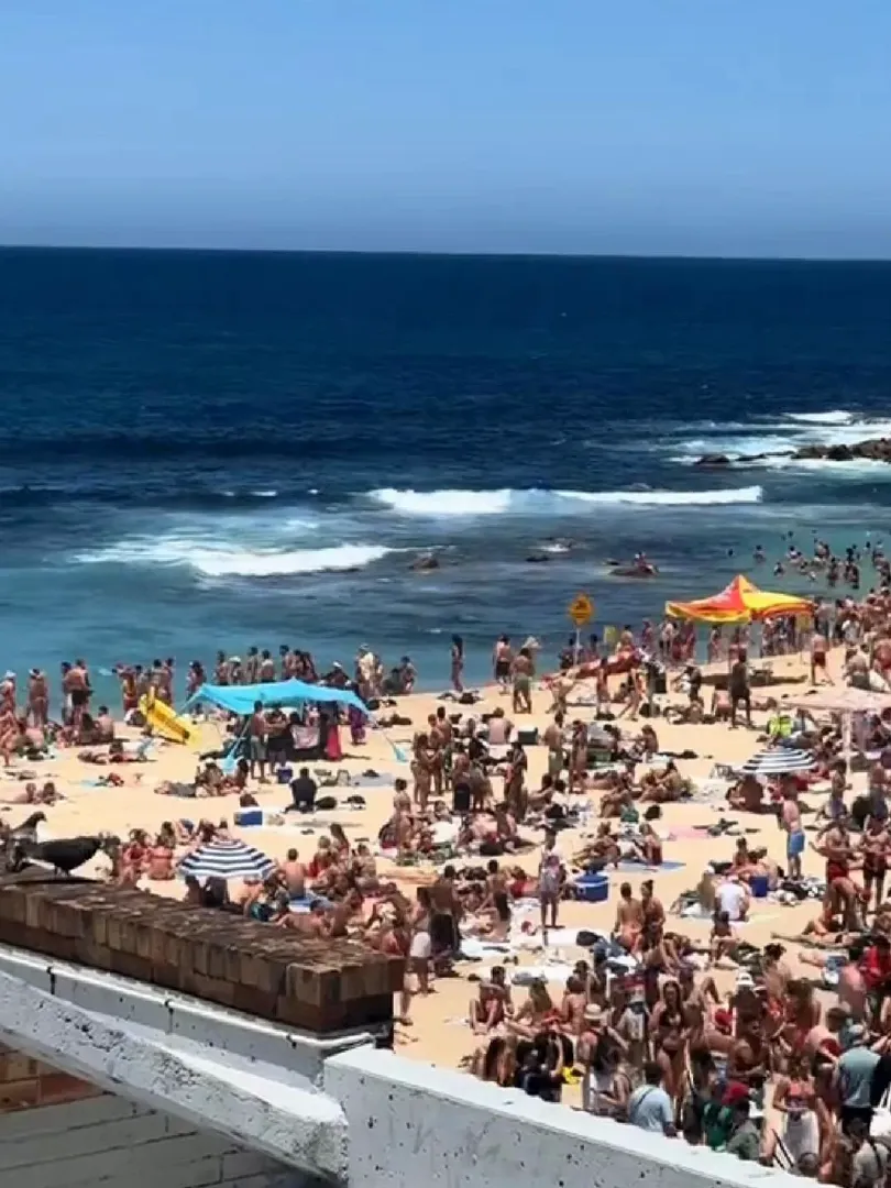 雪梨🇦🇺🏖️海灘狂歡