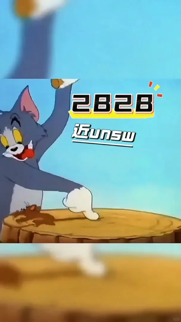 蹲蹲室友寶子～ 