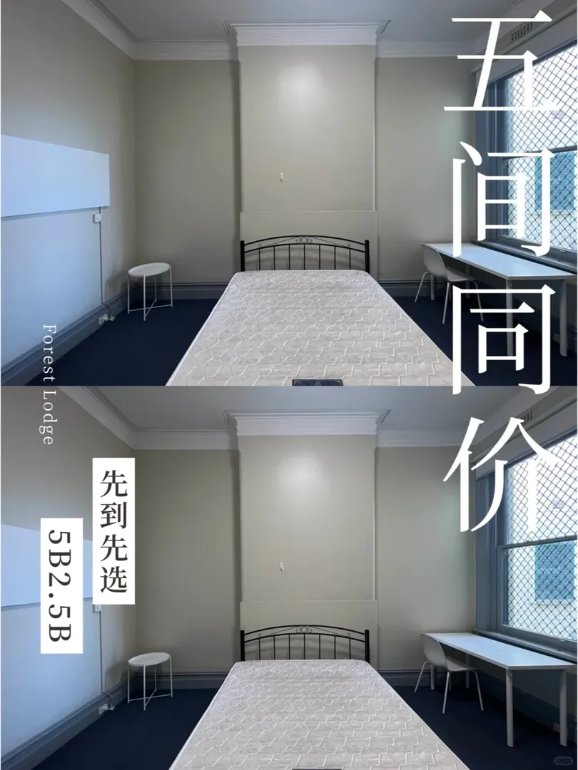 悉大對面丨今天來點不是學生公寓的368PW！