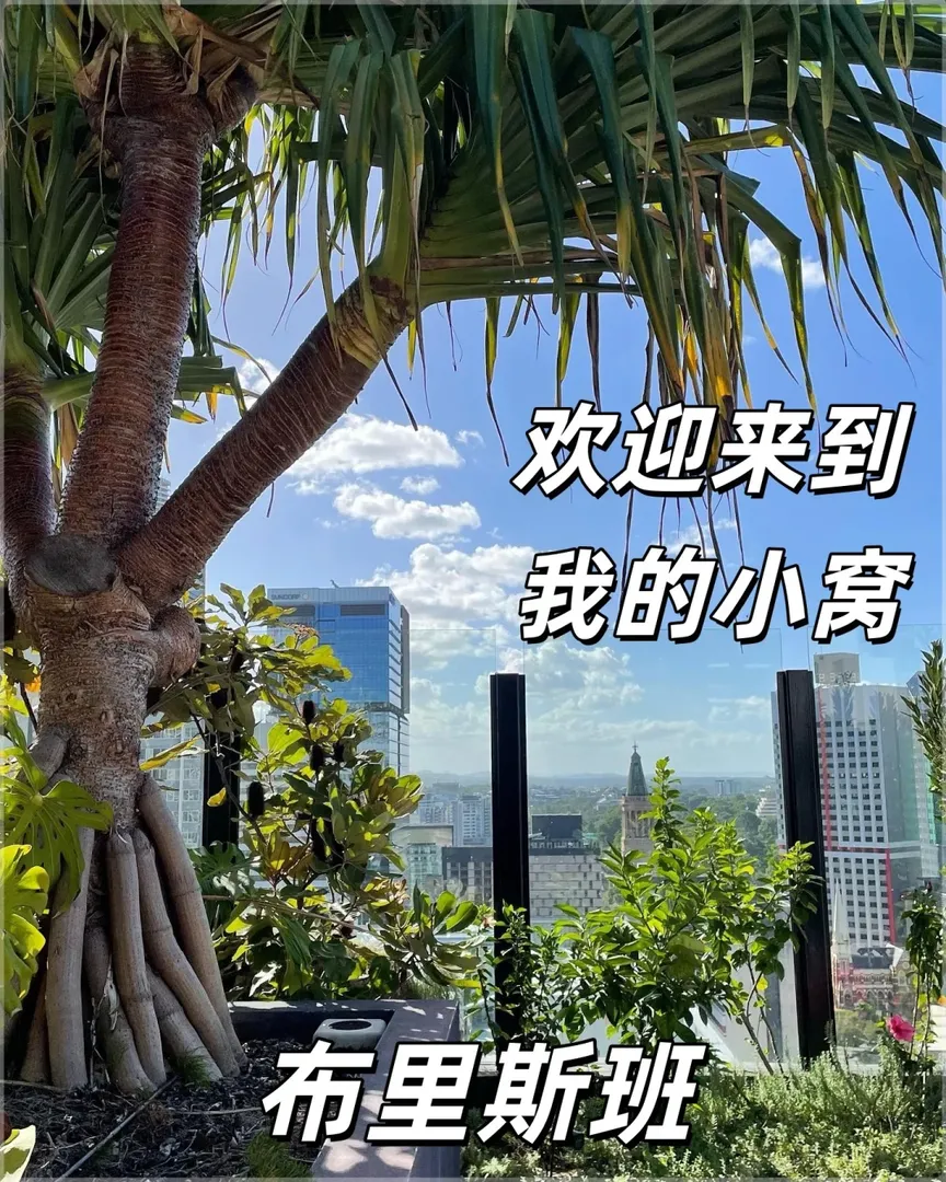 年紀輕輕就住上了帶院的房子 布里斯班