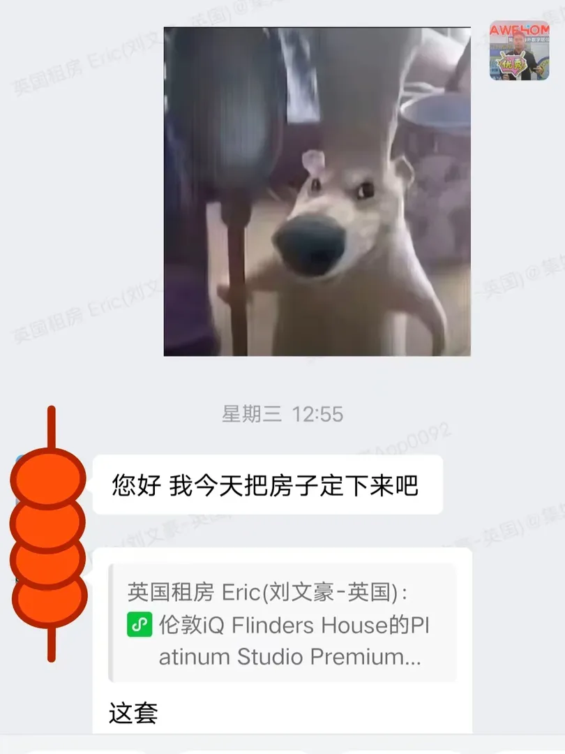 緊急救援！幫留子找到合適的最佳公寓🎉