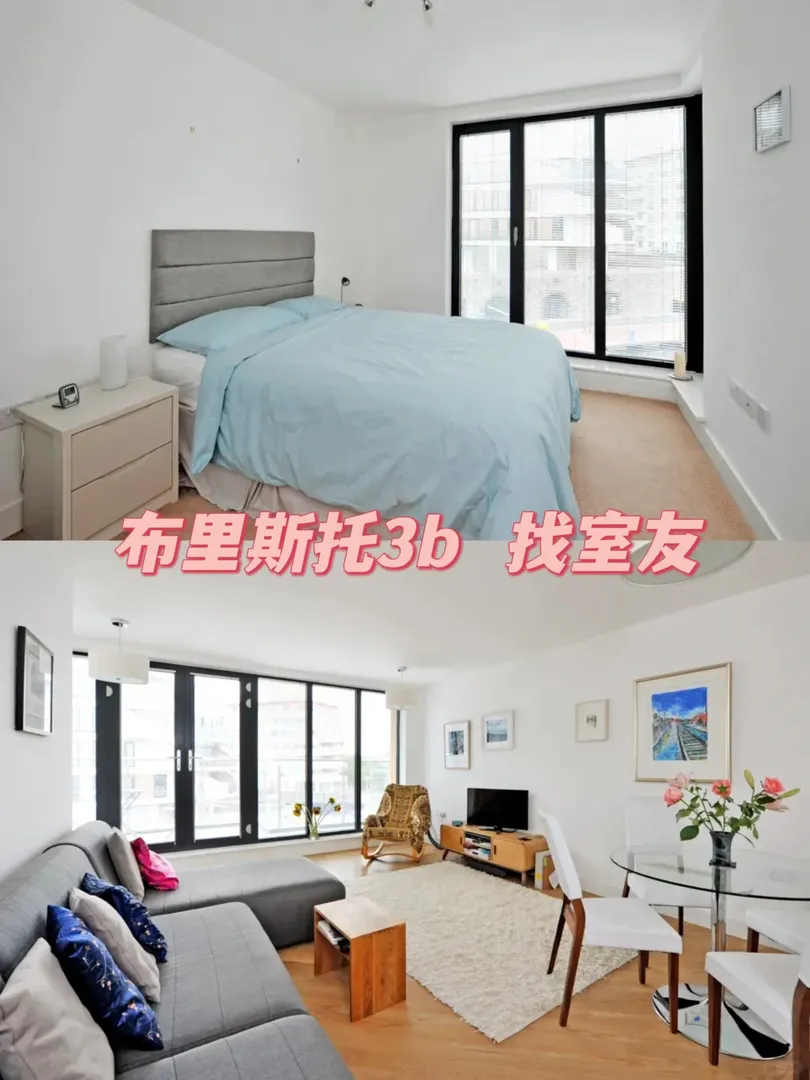 布里斯托/3b 找中國室友啦 人均180+