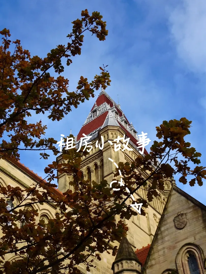 精打細算的完美之選🥳