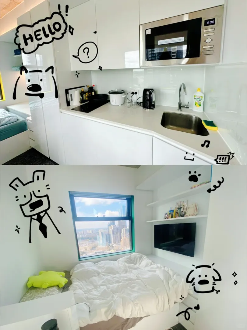25S1在貓本住studio🏠的日常小記🧩👀