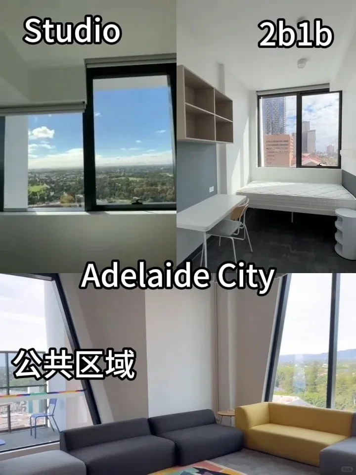 Adelaide丨給S1新生掏心窩子說些大實話👇