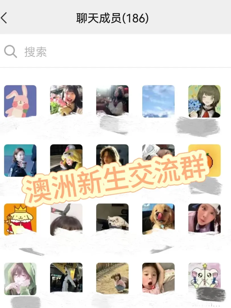 找到組織啦！澳洲留子們快來！