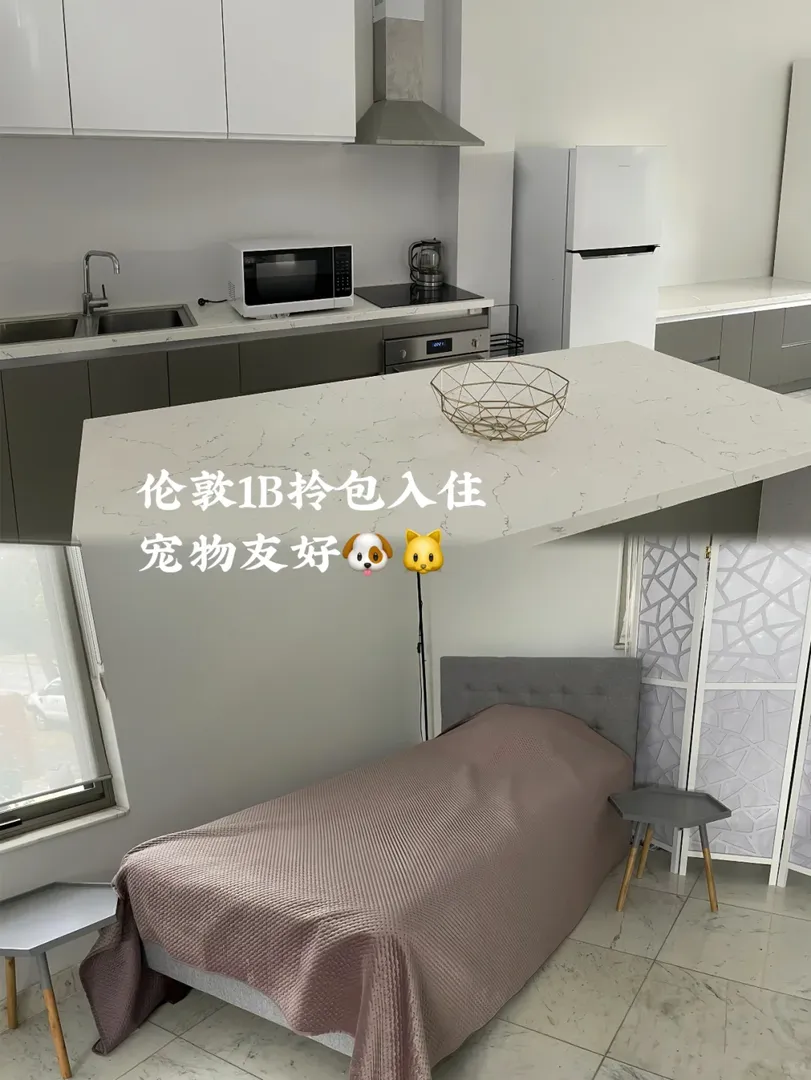 倫敦1b即刻起，寵物友好