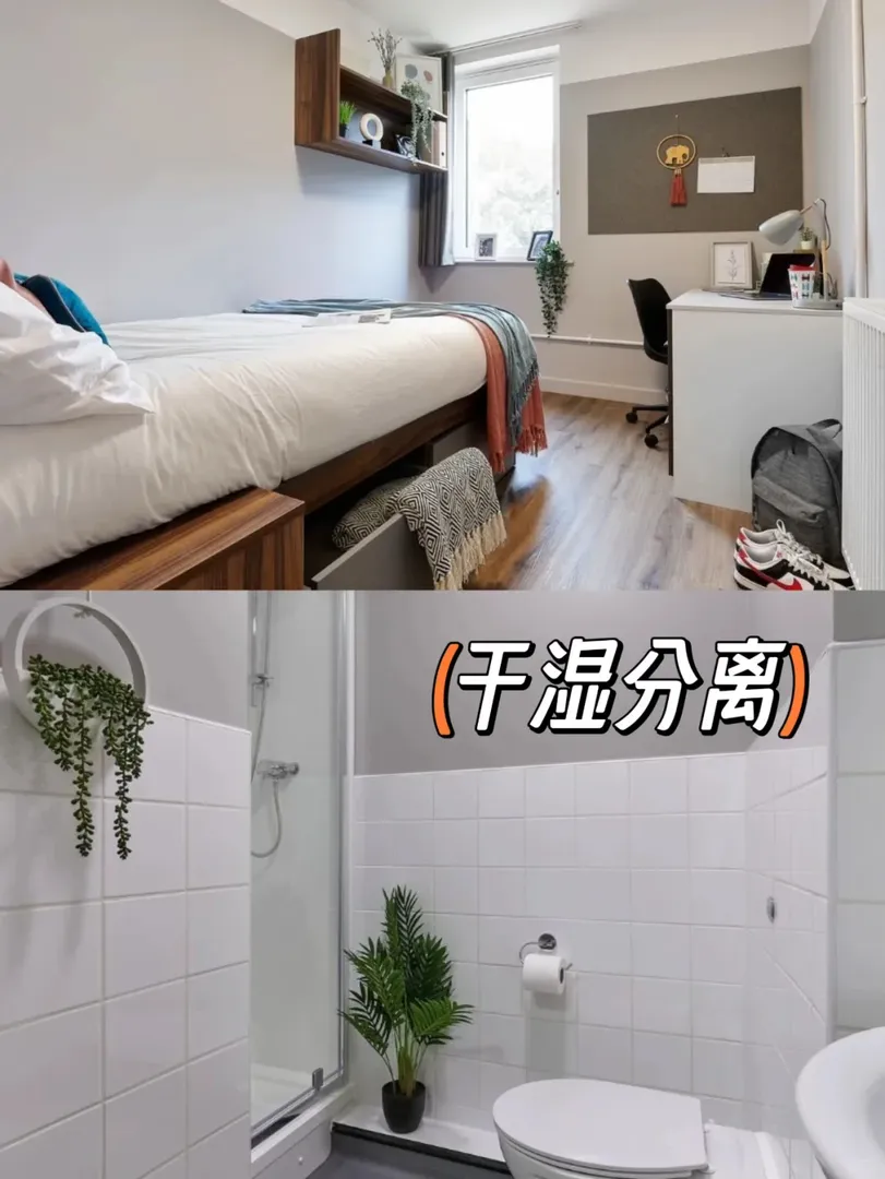 🇬🇧在倫敦直達ucl250鎊不到也能住很好