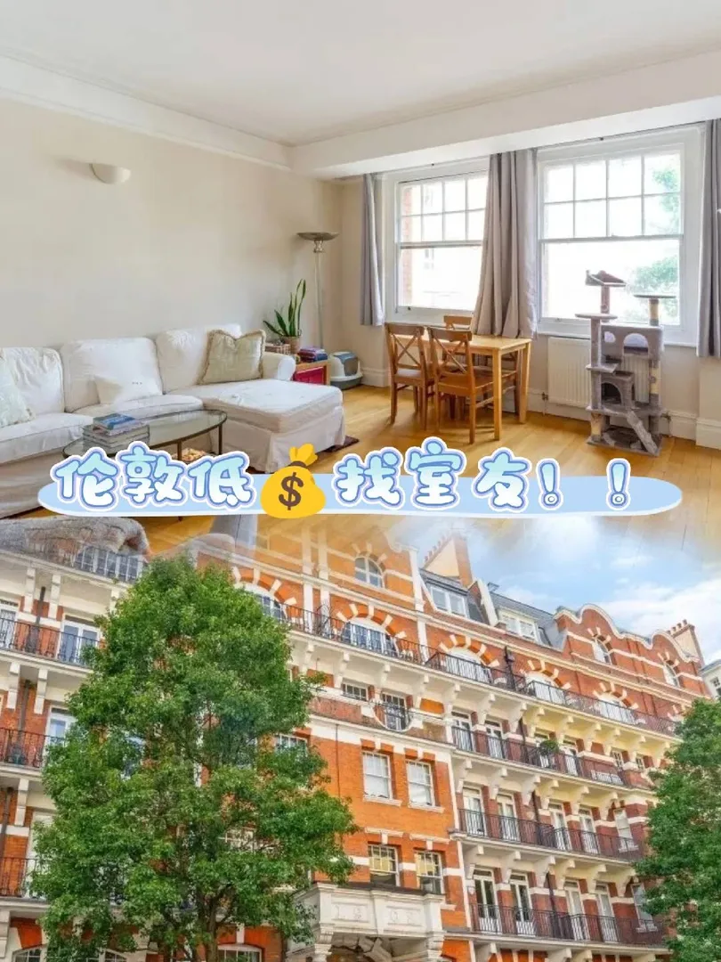 倫敦找室友｜工作黨👩🏻‍💻也可以！