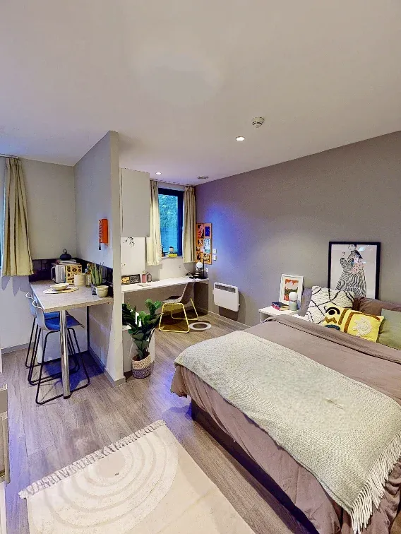 曼大出租｜低預算也能住校門口的雙窗studio
