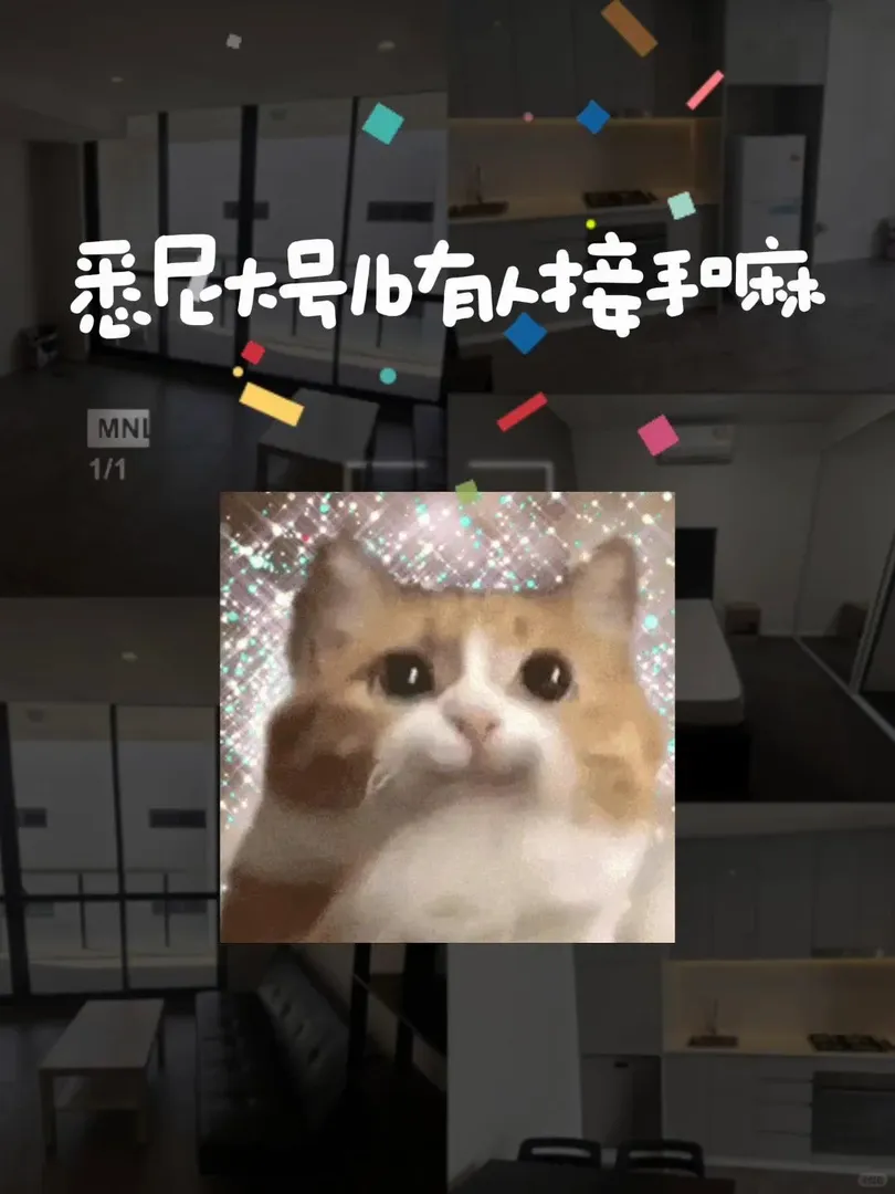 雪梨大號1b有人接手嘛🥺