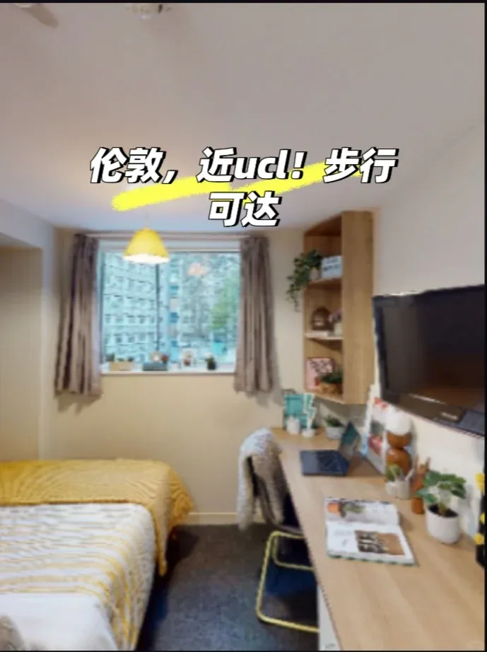 倫敦ucl找房看看這裡