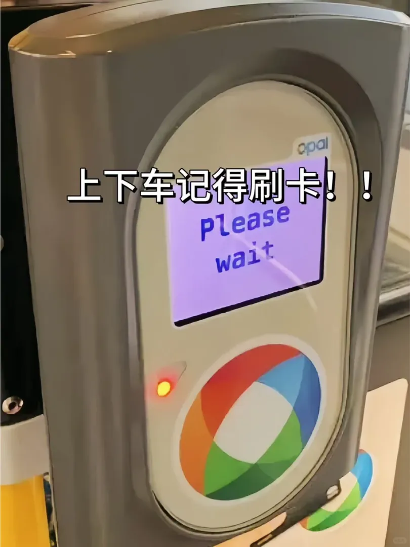 雪梨留學生坐公交車的保姆級教程🚌