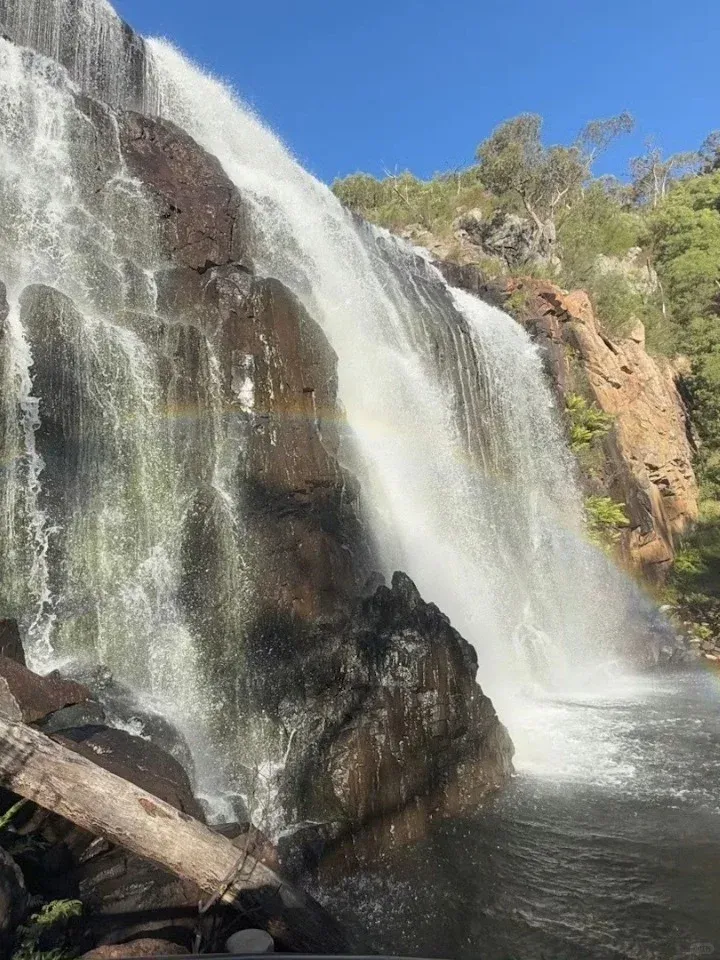 🇦🇺墨爾本留子驚了，看到彩虹瀑布