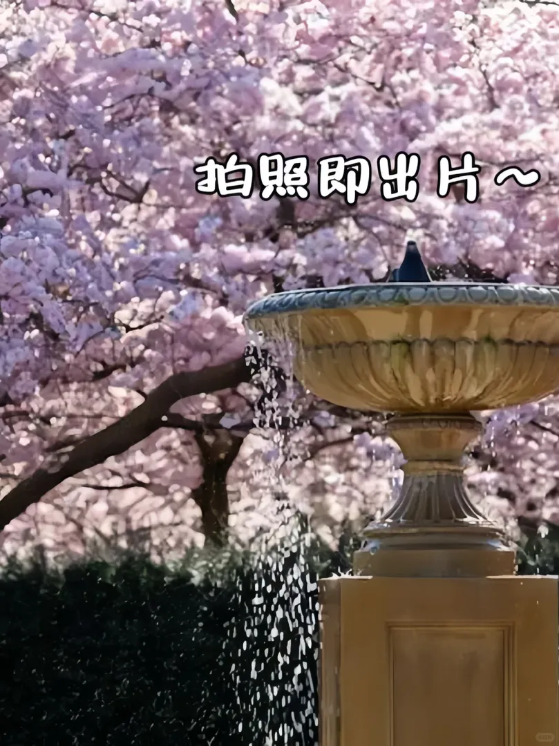 倫敦櫻花季 | 寶藏打卡地合集🌸