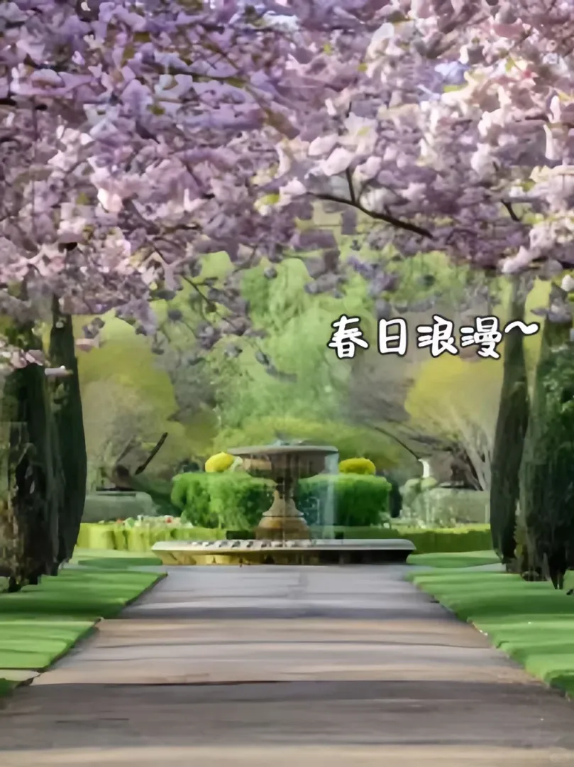 倫敦櫻花季 | 寶藏打卡地合集🌸