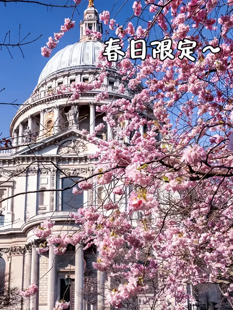 倫敦櫻花季 | 寶藏打卡地合集🌸