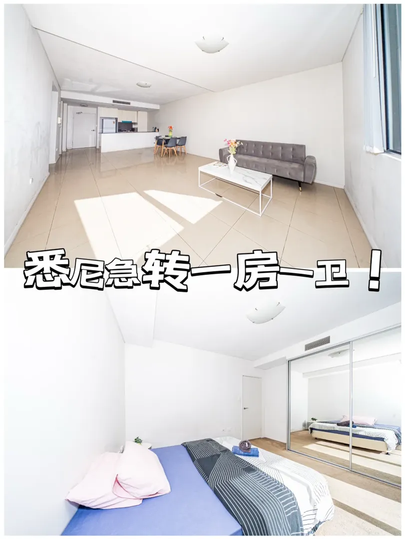 雪梨轉租Mascot1b1b1s，性價比敲奈斯！👍