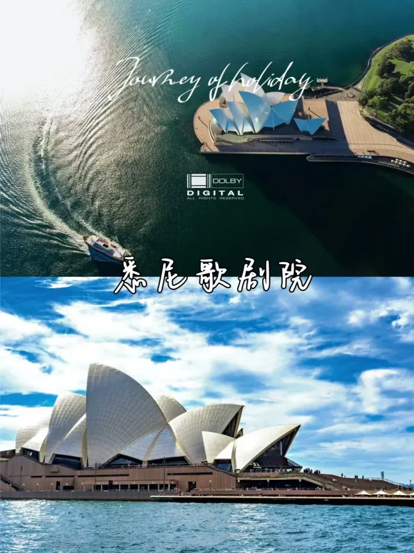 🌊雪梨留學生的周末好去處！放鬆時間到！