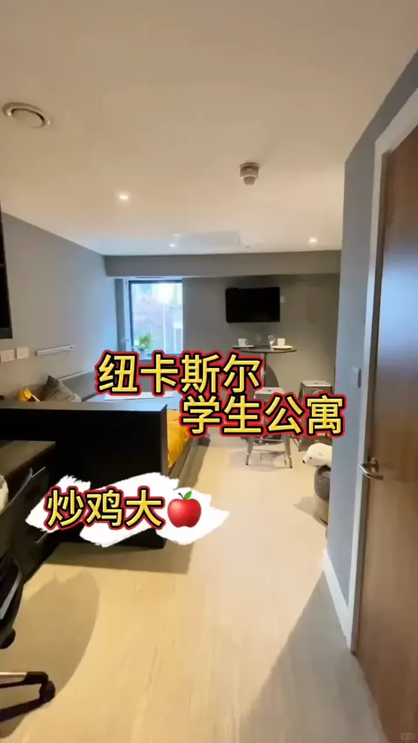 紐卡斯爾 | 沒有人會拒絕Loft複式公寓吧