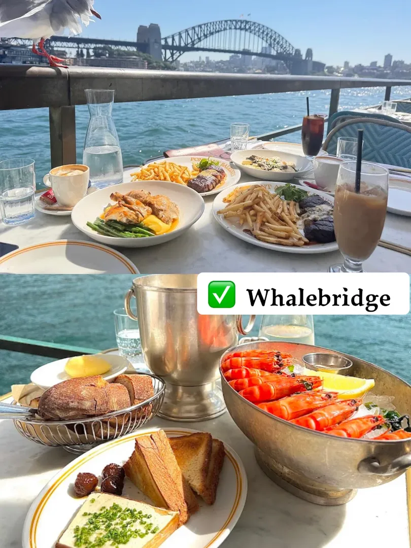 🇦🇺海景+美食=双倍浪漫！ 🍽️
