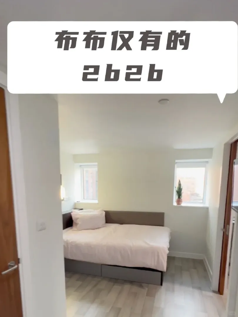 布里斯托2b2b有要的嘛