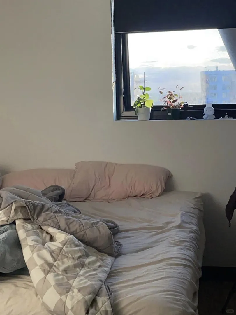 阿德萊德留子強勢開局💢