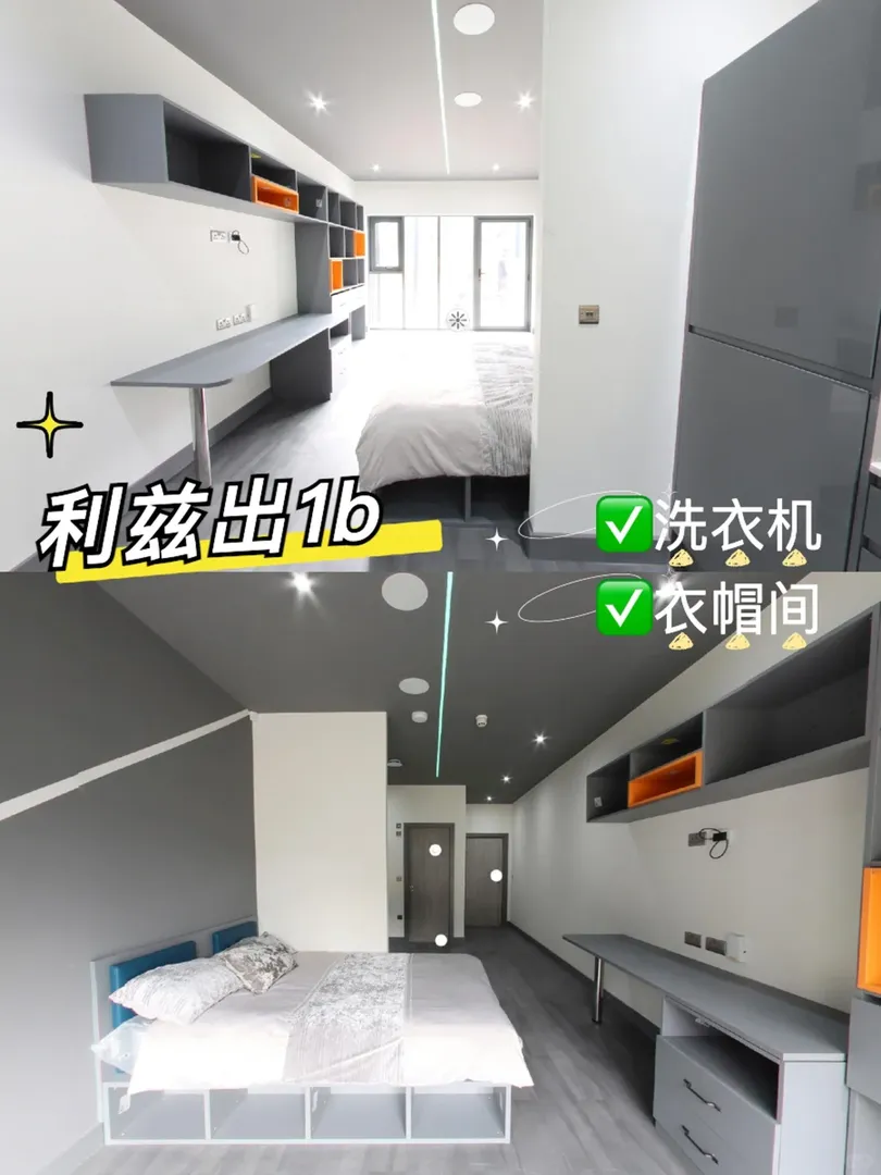 利茲出帶獨洗、有隔斷、有陽台的1b、2++