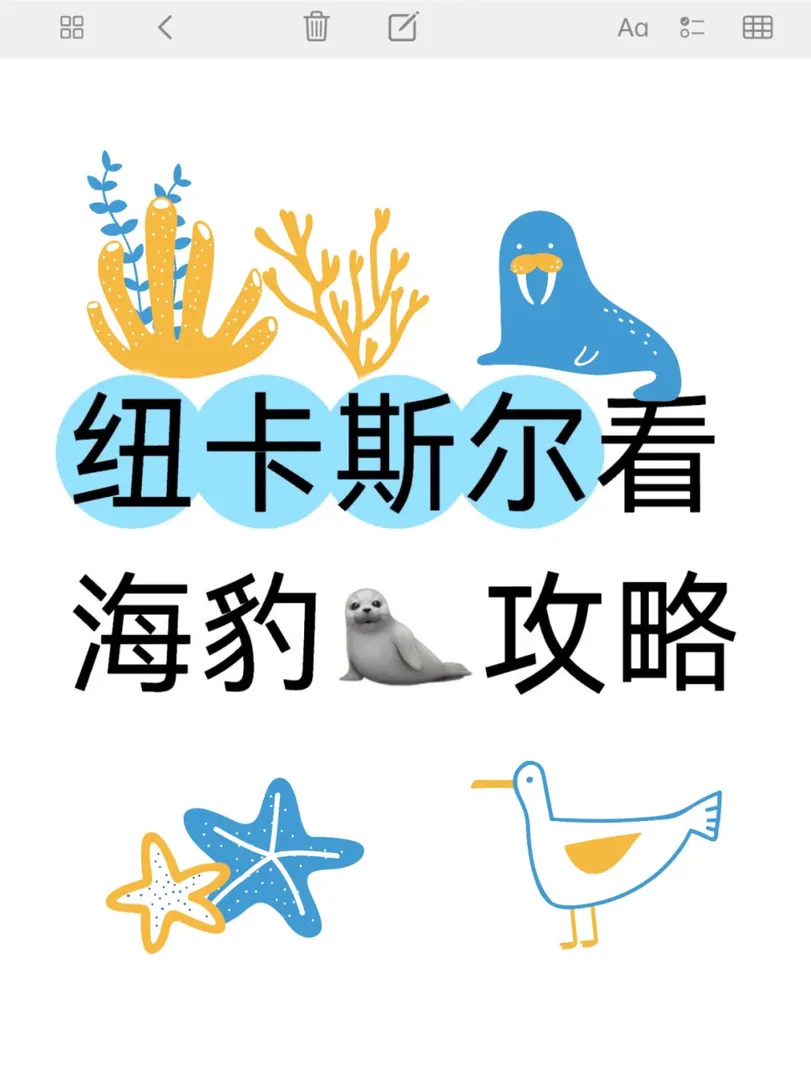 紐卡斯爾｜聖瑪利亞燈塔觀海豹攻略🦭