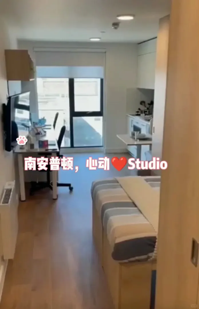 南安普頓的寶寶們，很難不被High Street折