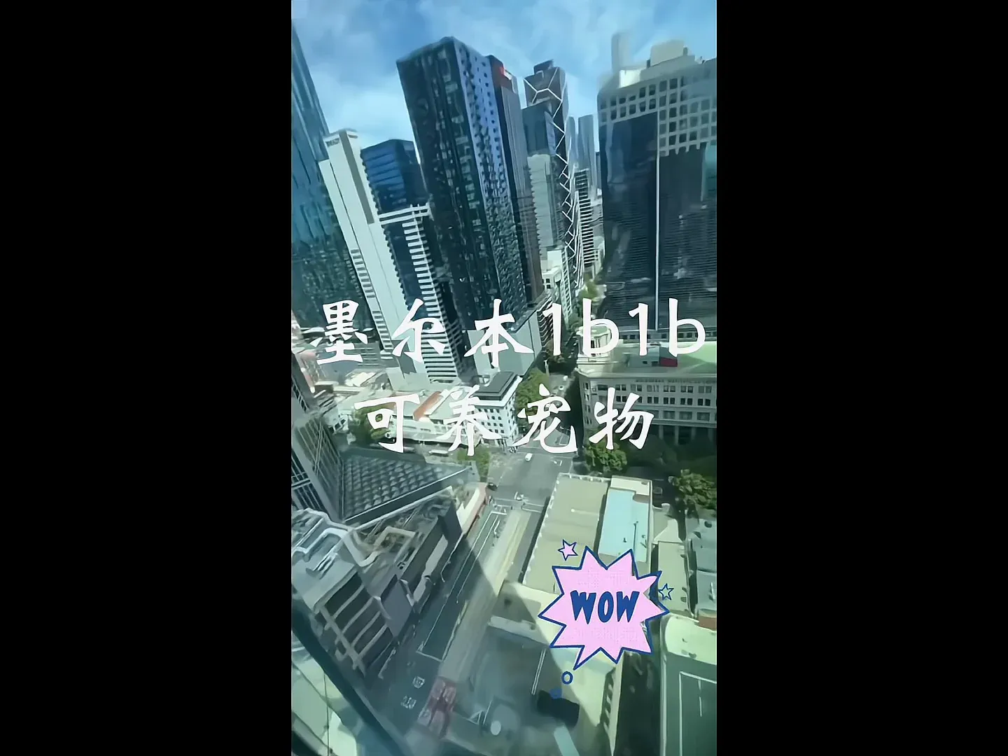 墨爾本1b1b｜雙人入住➕寵物友好沖不沖❓