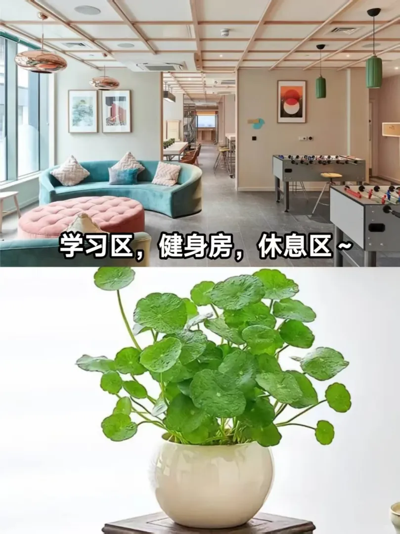 🌈UCL租房，帶空調，舒適感爆棚！😭