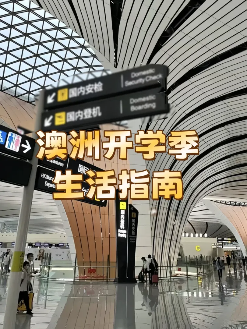 初到澳洲不要慌❗️先做這些事