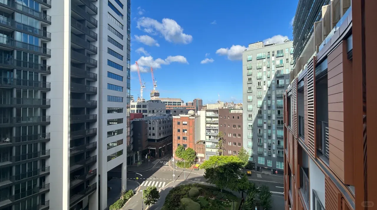 轉租🏠Chippendale市中心陽光一室一廳