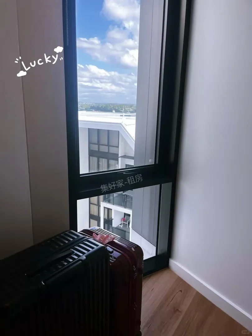 布里斯班🌲S2開啟預定❕