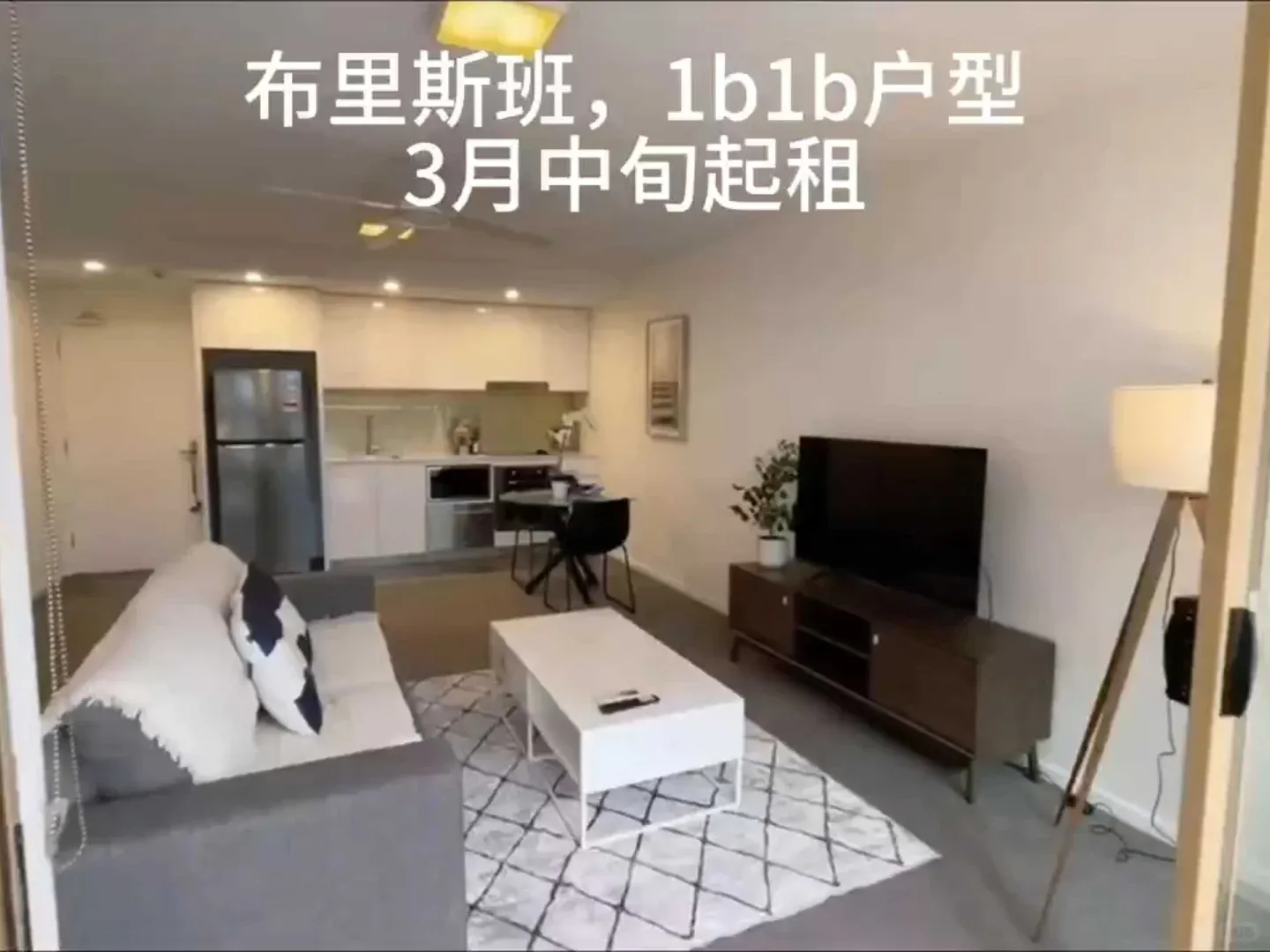 布里斯班｜精緻1b1b，3月中空出，可看🏠